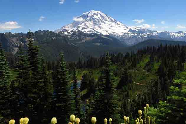 Mount Rainier National Park, Washington