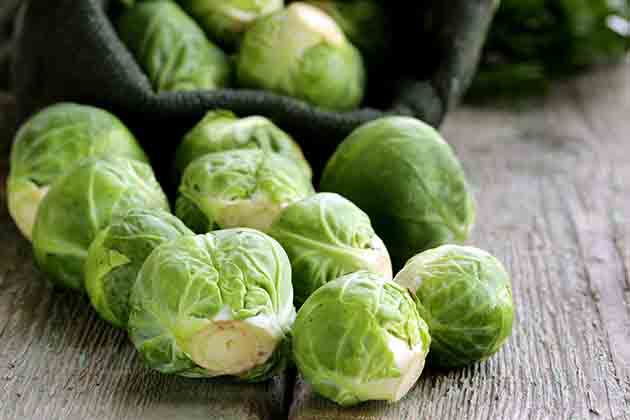 German Sprouts