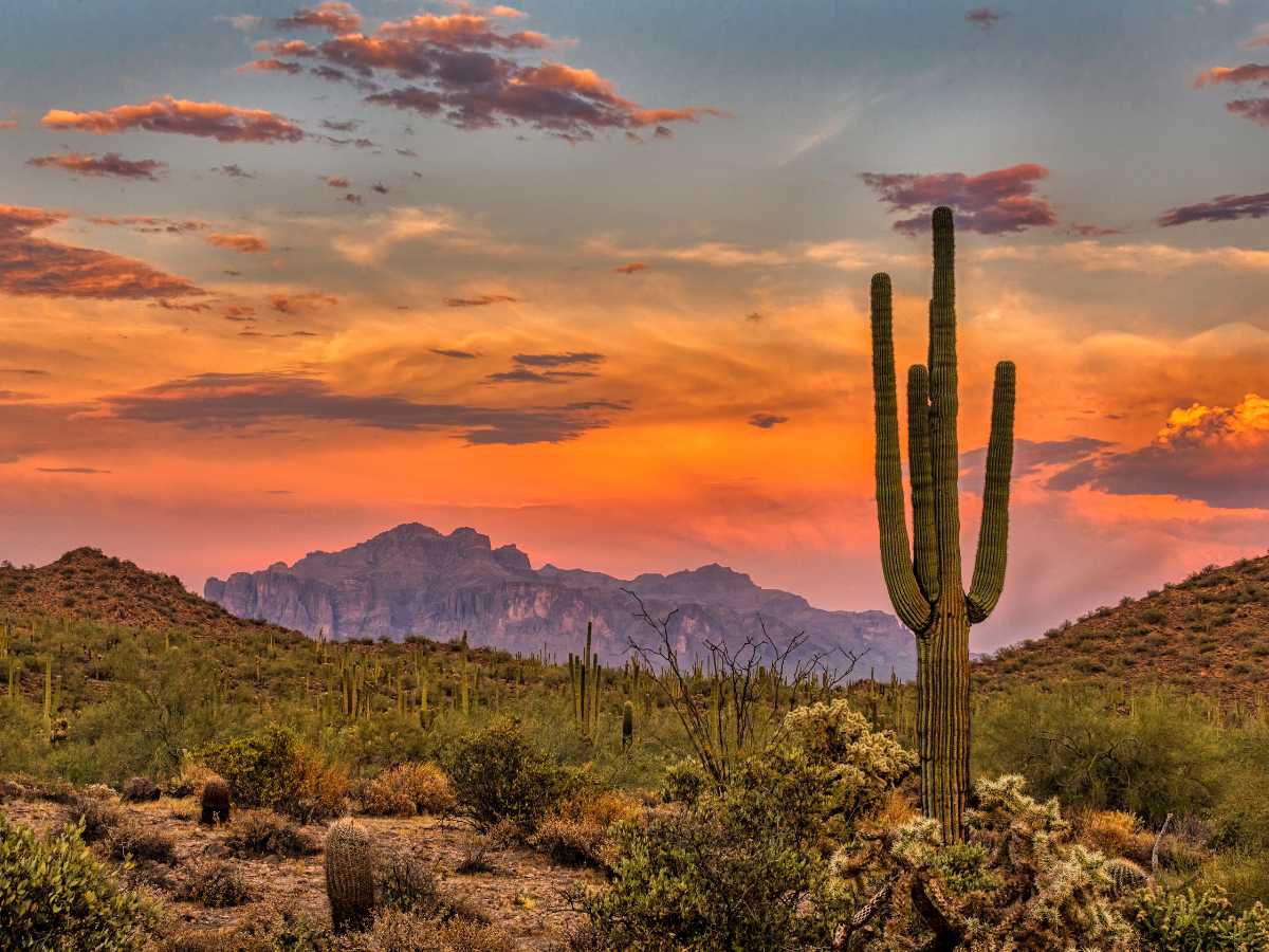 Tucson, Arizona