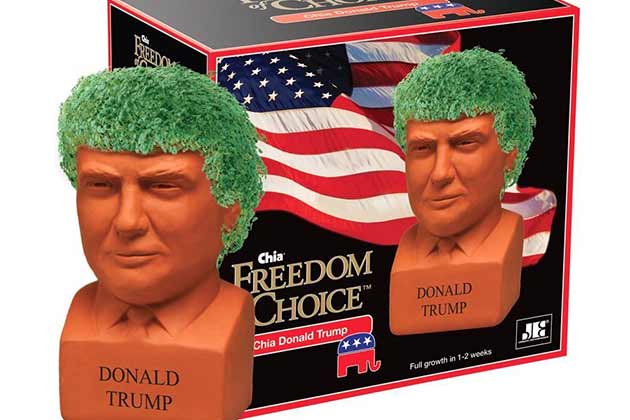 Donald Trump Chia