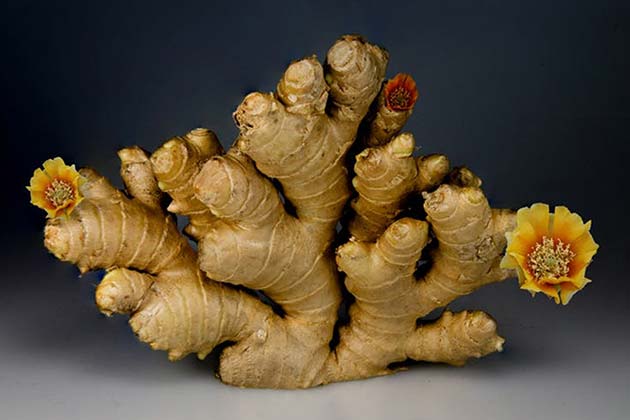Best: Ginger