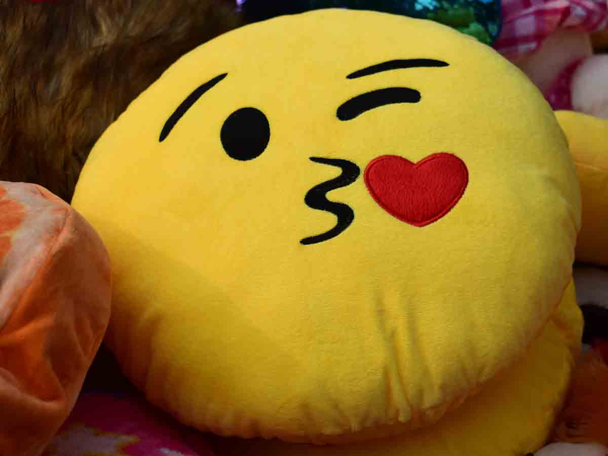 Novelty Pillows