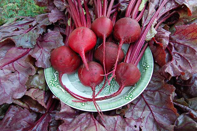 Anti-inflammatory Foods