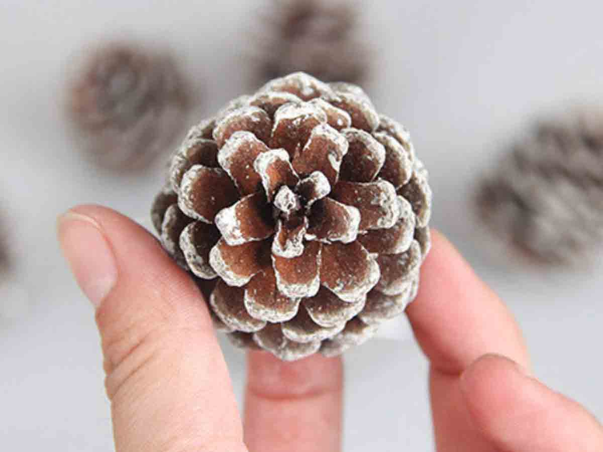 Glitter Pinecones
