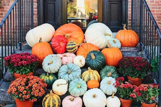 An Abundance of Gourds