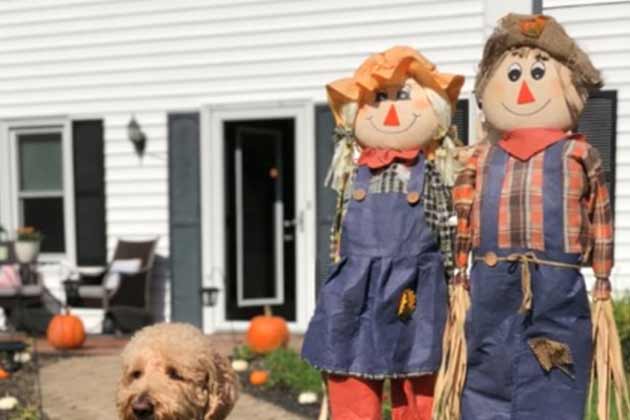 Not-So-Scary Scarecrows