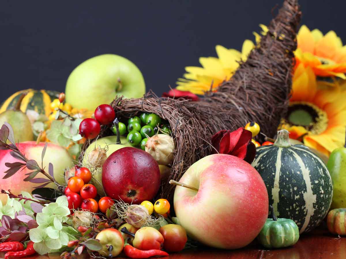 Cornucopia with Fake Fruit