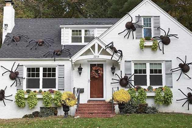 Giant Spiders