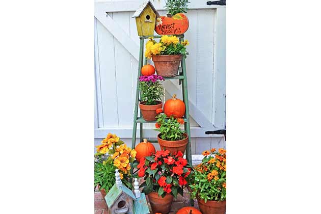 Ladder