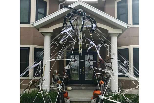 Spiderweb Goals