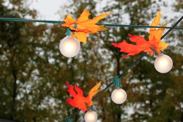Leaf Lights