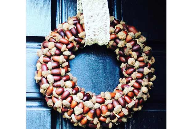 Acorn