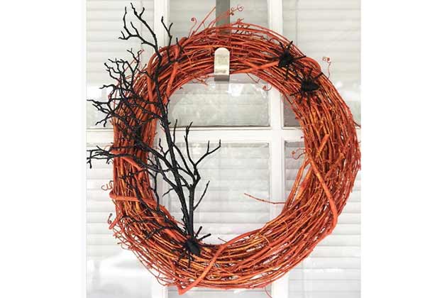 Twig And Spiders