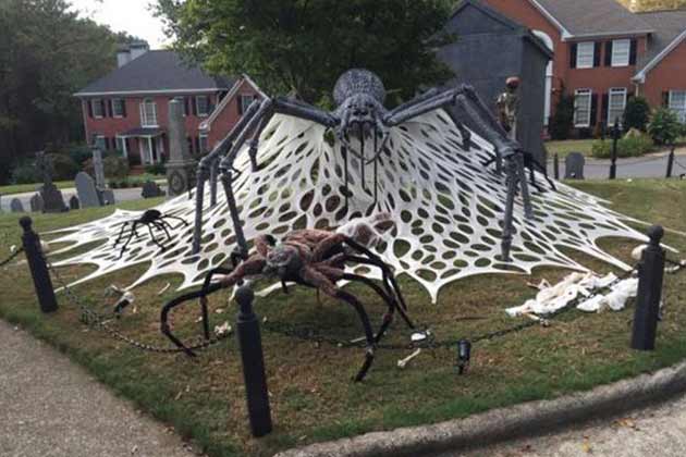 The Spiderweb