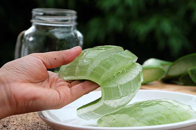 Aloe Vera