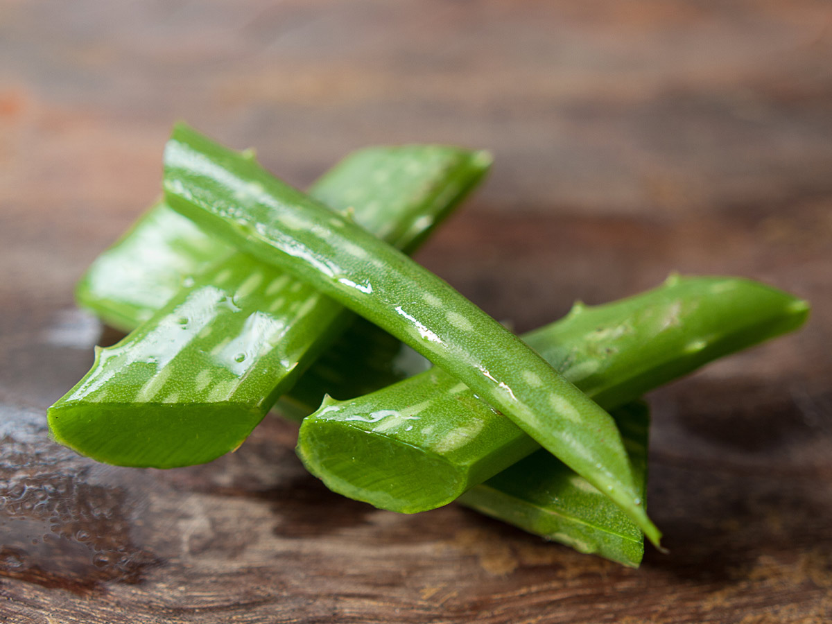 Aloe Vera