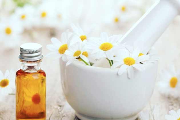 Chamomile