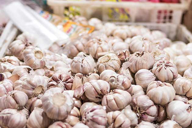 Garlic