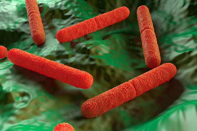 Botulism