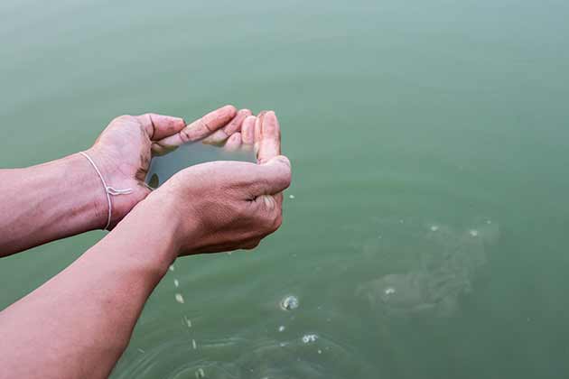 Cholera Causes