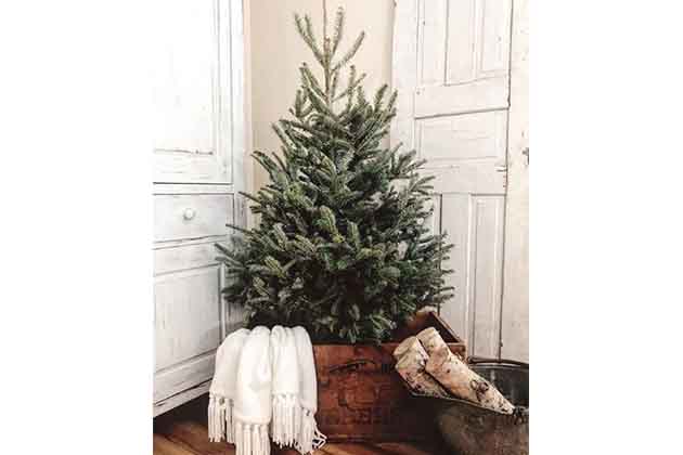 Real Christmas Tree