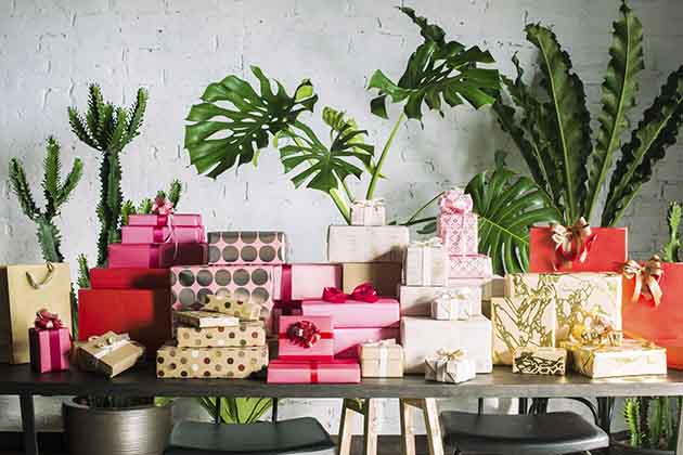 Wrapped Gifts