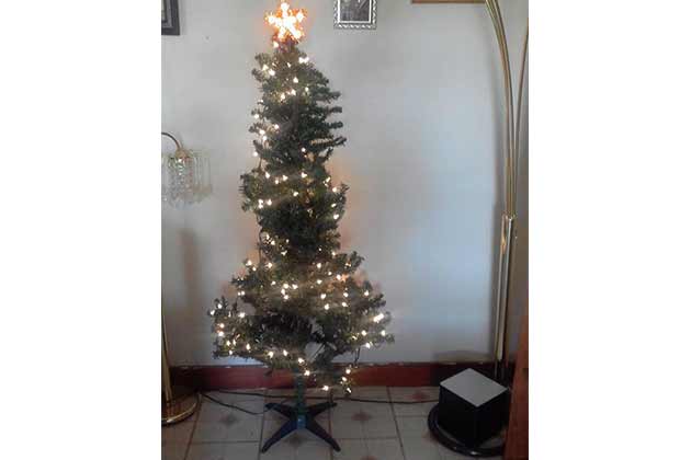 The Amateur Tree