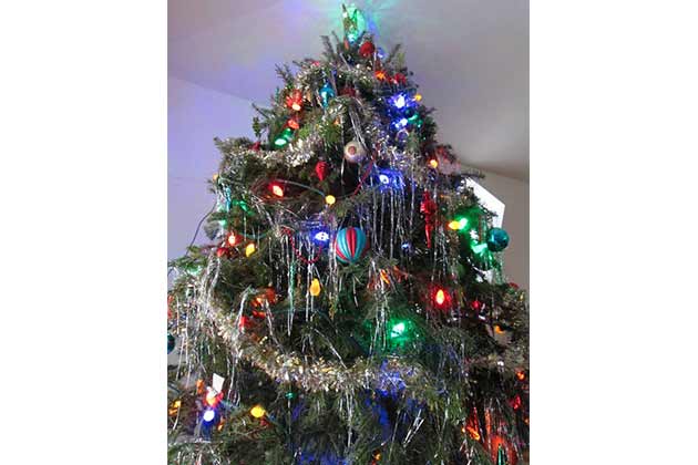 The Silver Rain Tree