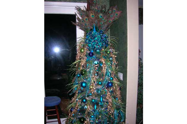 The Peacock Tree