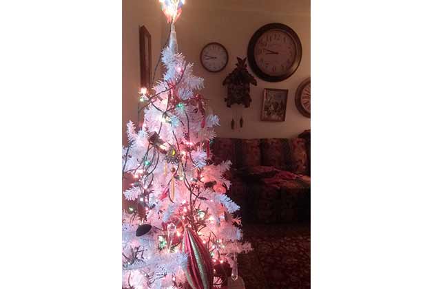 The Tangled Tree