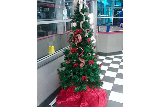 The Scraggly Bows Tree