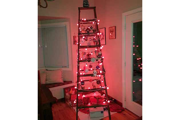The Ladder Tree