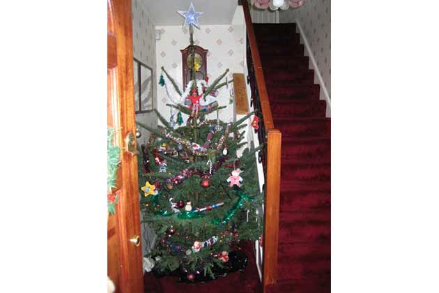 The Stuck in the Corner Tree