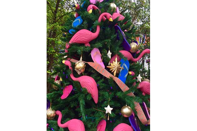 The Flamingo Tree