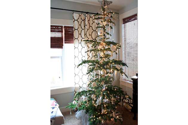 The Half-Naked Tree