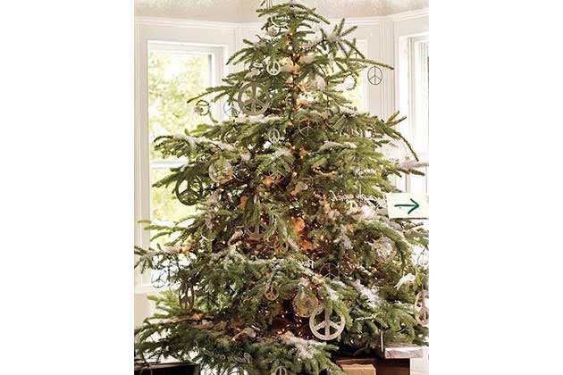 The Peace Tree