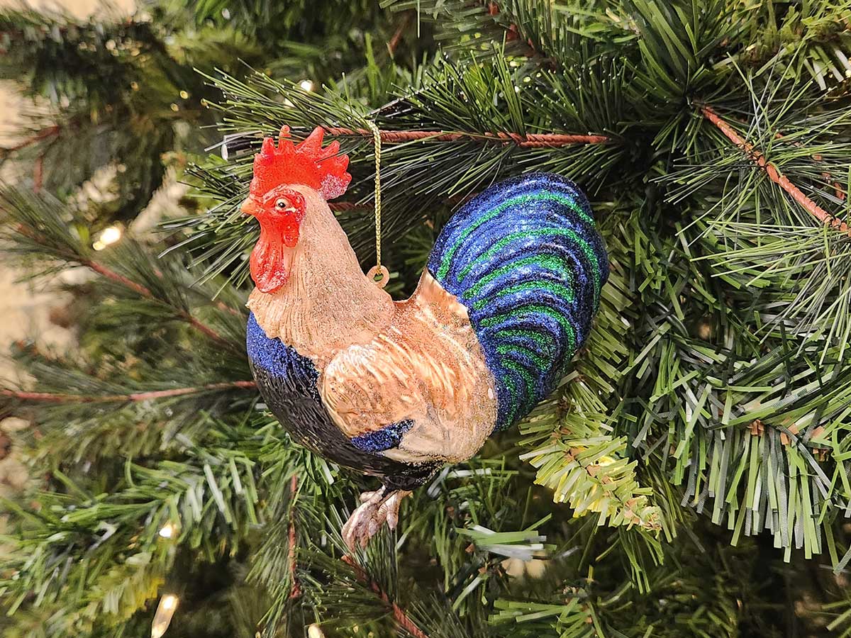 Rooster