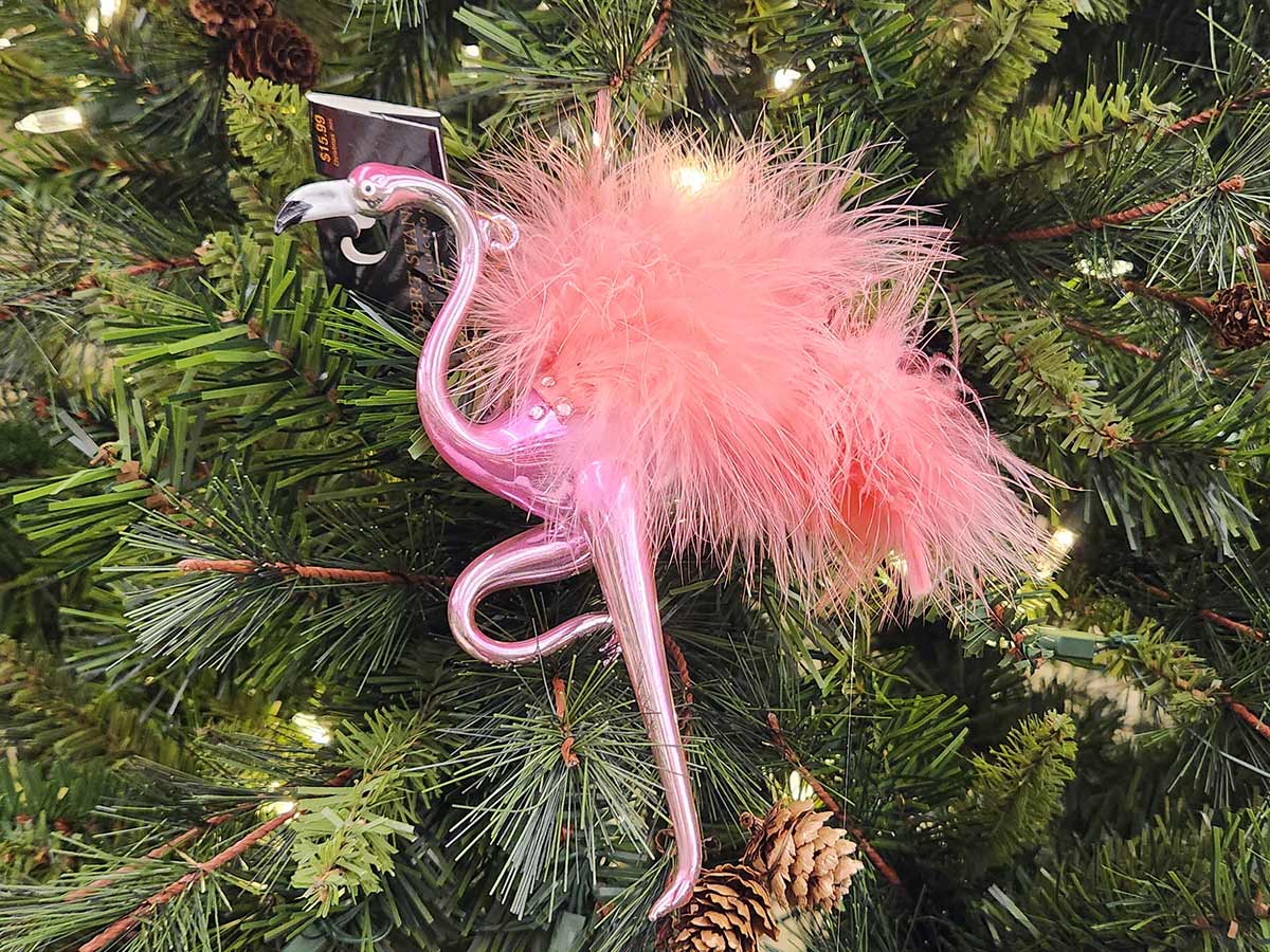 Flamingo