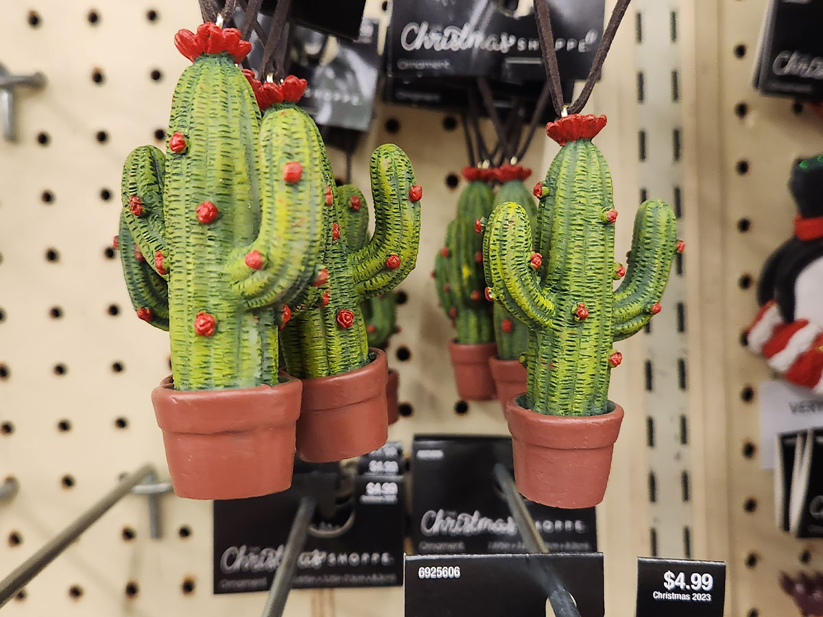 Cactus