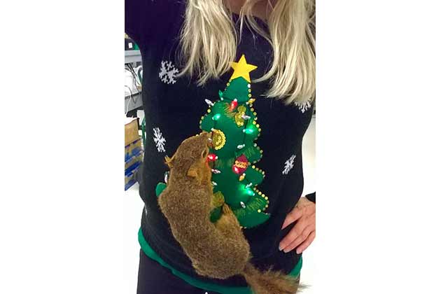 The Squirrel