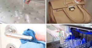 purse mattress dishwasher and doorknob