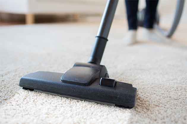 The Carpet