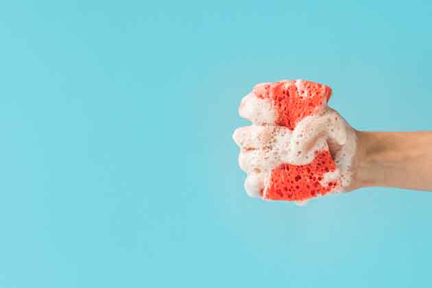 Your Kitchen Sponge