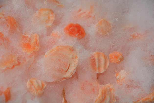 Freezer-Burnt Items
