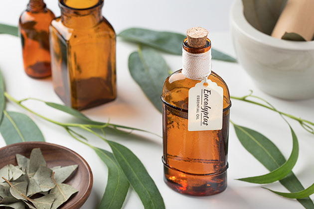 Eucalyptus Oil for Sinusitis