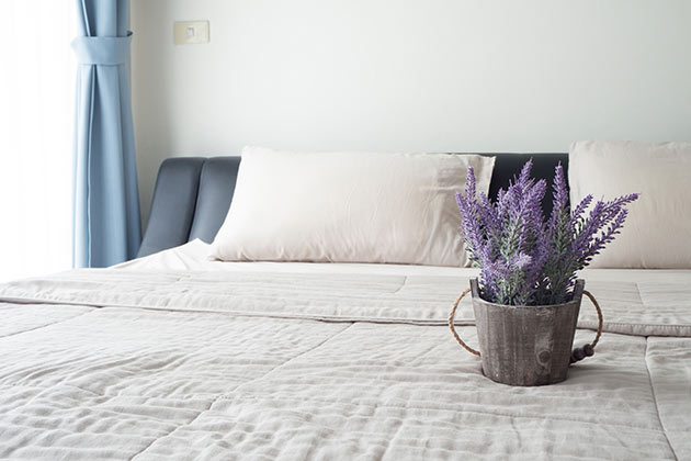 Lavender for Sleeping Problems
