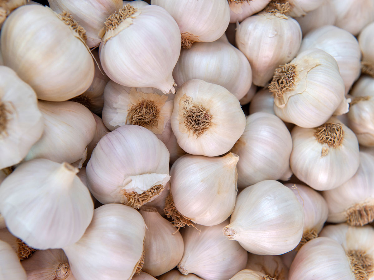 Garlic for Athlete’s Foot