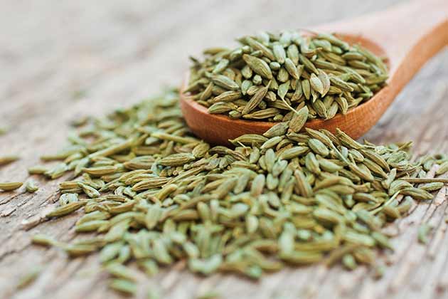 Fennel Seed for Indigestion