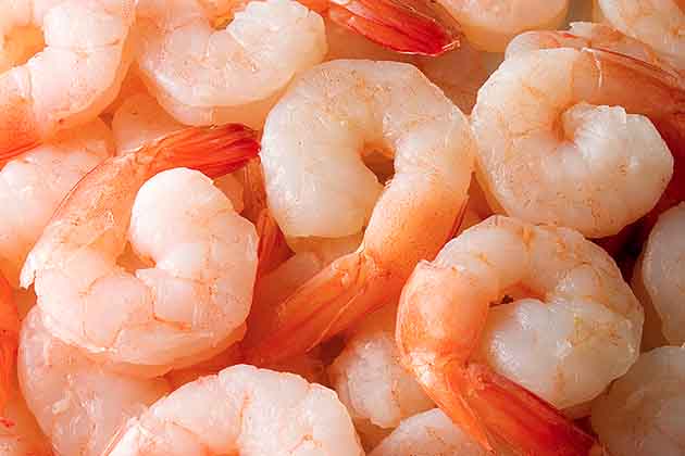Shrimp