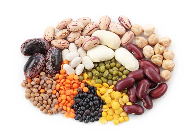 Dried Beans